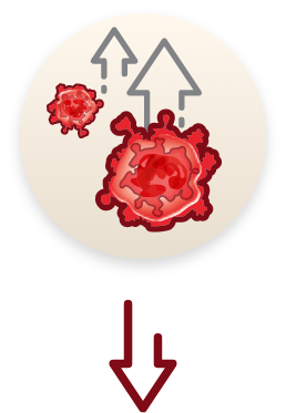 An illustration of an increased aberrant megakaryocyte production that causes myelofibrosis progression