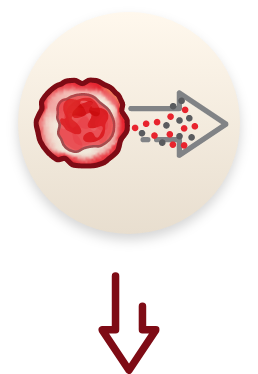 An illustration of a blood cell visualizing inflammation and myofibroblast activation that causes myelofibrosis progression